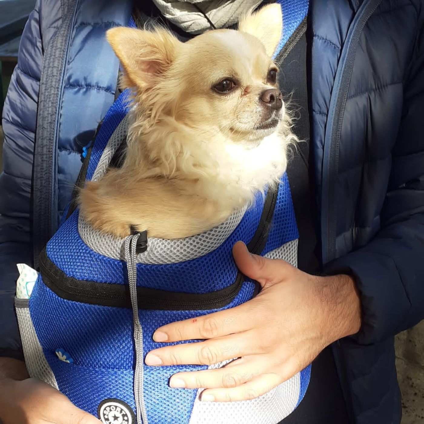 Dog Backpack - Doggy Rucksack®