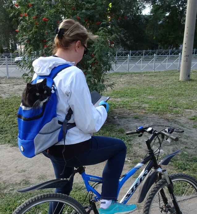 Dog Backpack - Doggy Rucksack®