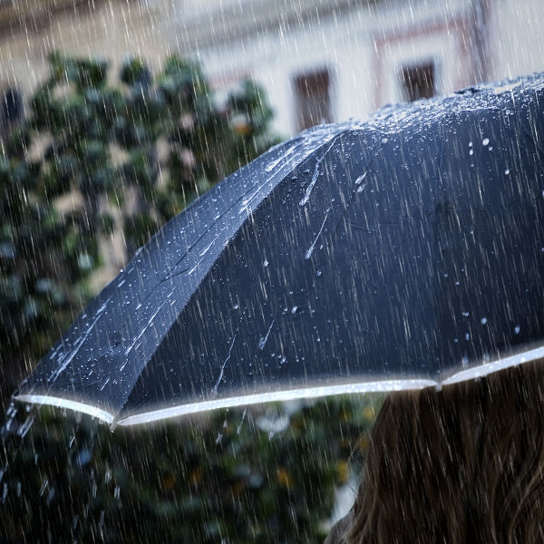 Umbrella With LED® Light