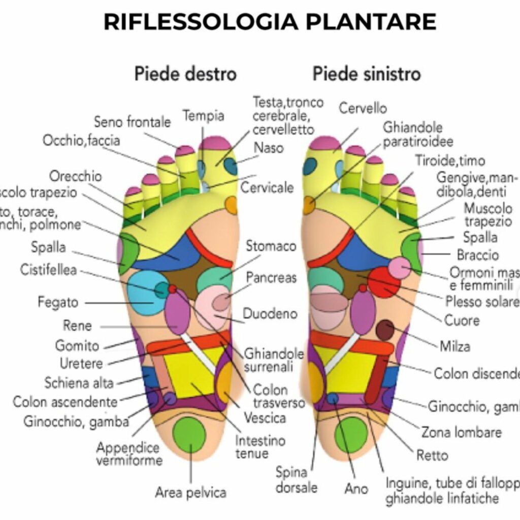 Massers® - Pantofole Digitopressione