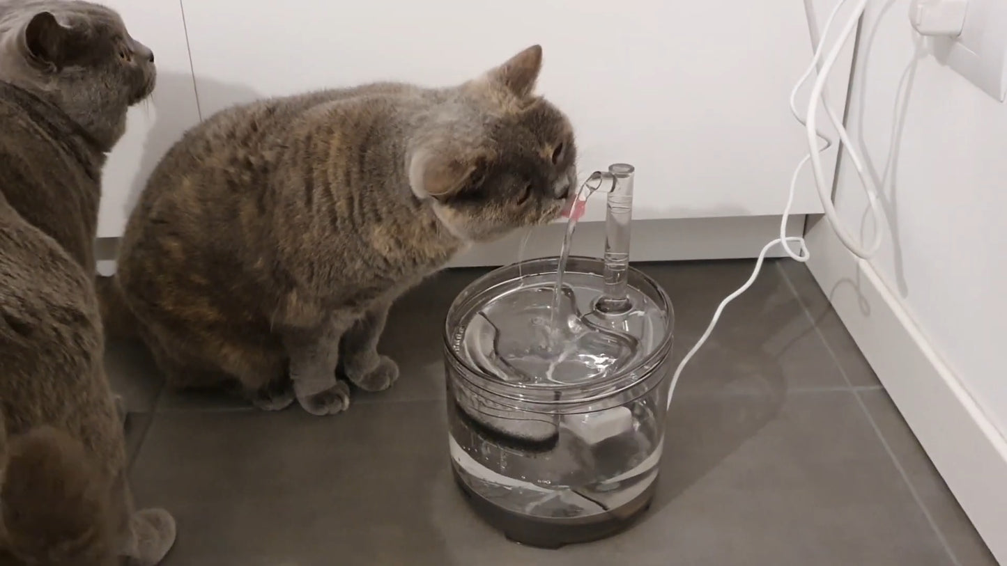 Fountain With Sensor For Cats® 