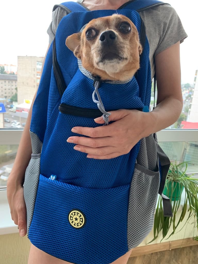 Zaino Cani - Doggy Rucksack®