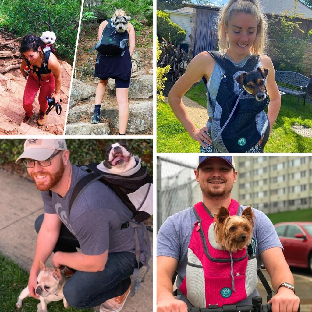 Zaino Cani - Doggy Rucksack®